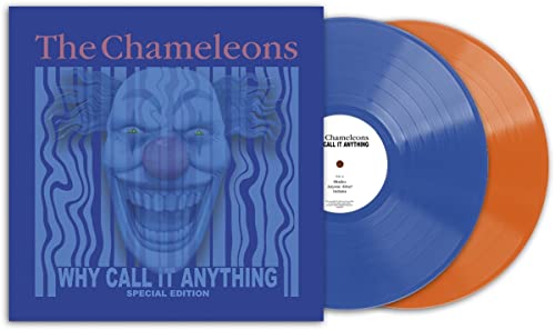 Why Call It Anything (2Lp Coloured Vinyl) [Vinyl]