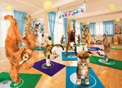 Puzzle: Yoga Dogs & Cats Collection - Yoga Studio (ONLINE ORDER ONLY)