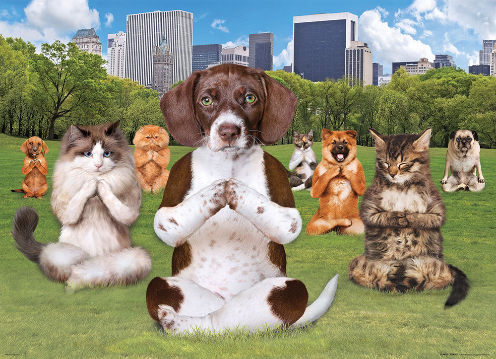 Puzzle: Yoga Dogs & Cats Collection - Yoga Park (ONLINE ORDER ONLY)