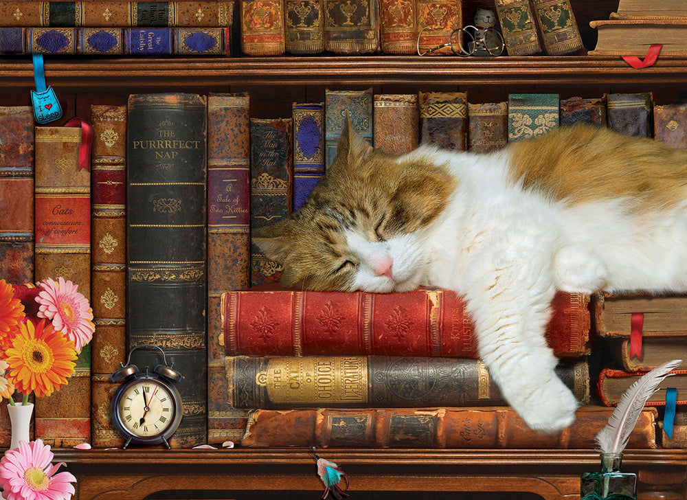 Puzzle: Family Oversize Puzzles - The Cat Nap (ONLINE ORDER ONLY)