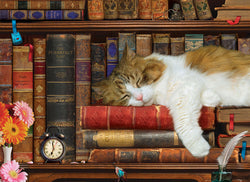 Puzzle: Family Oversize Puzzles - The Cat Nap (ONLINE ORDER ONLY)
