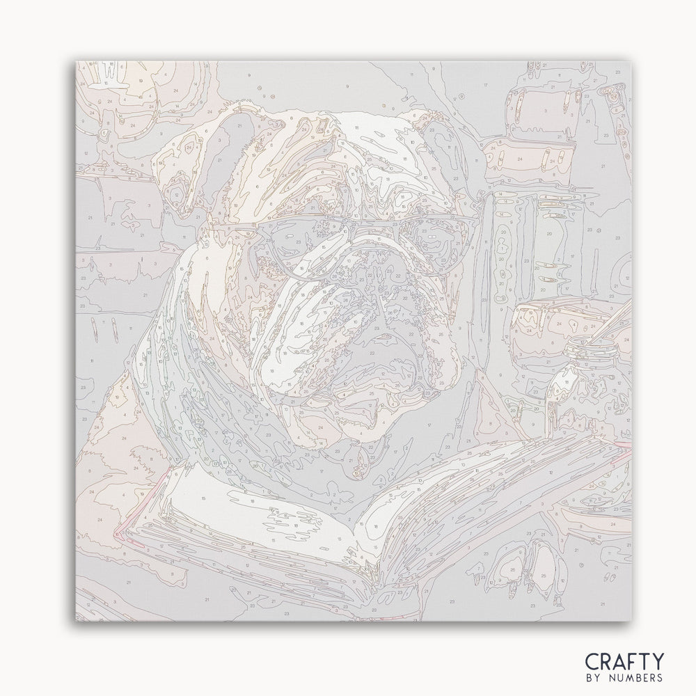 English Bulldog Reading (ONLINE ORDER ONLY)