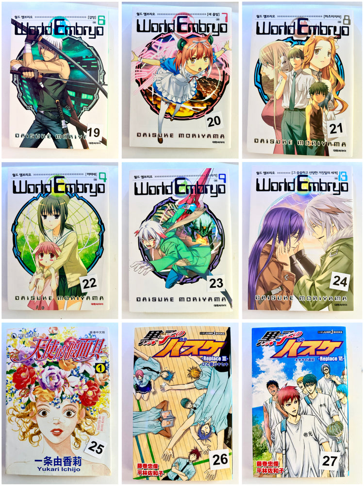 Foreign Language Manga and Light Novels - Part 2/2 (Online Order Only)