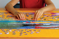 Smart Puzzle: Smart Puzzle Roll & Go (ONLINE ORDER ONLY)