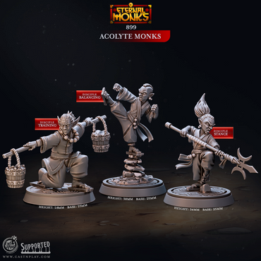 3D Printed Cast n Play Acolyte Monks Eternal Monks Set 28mm 32mm D&D (Online Only)