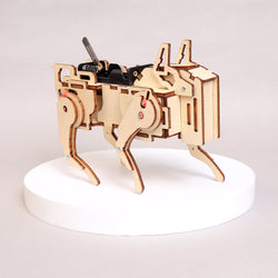 Robot Dog STEM Kit – Sound Activated DIY Toy (ONLINE ORDER ONLY)