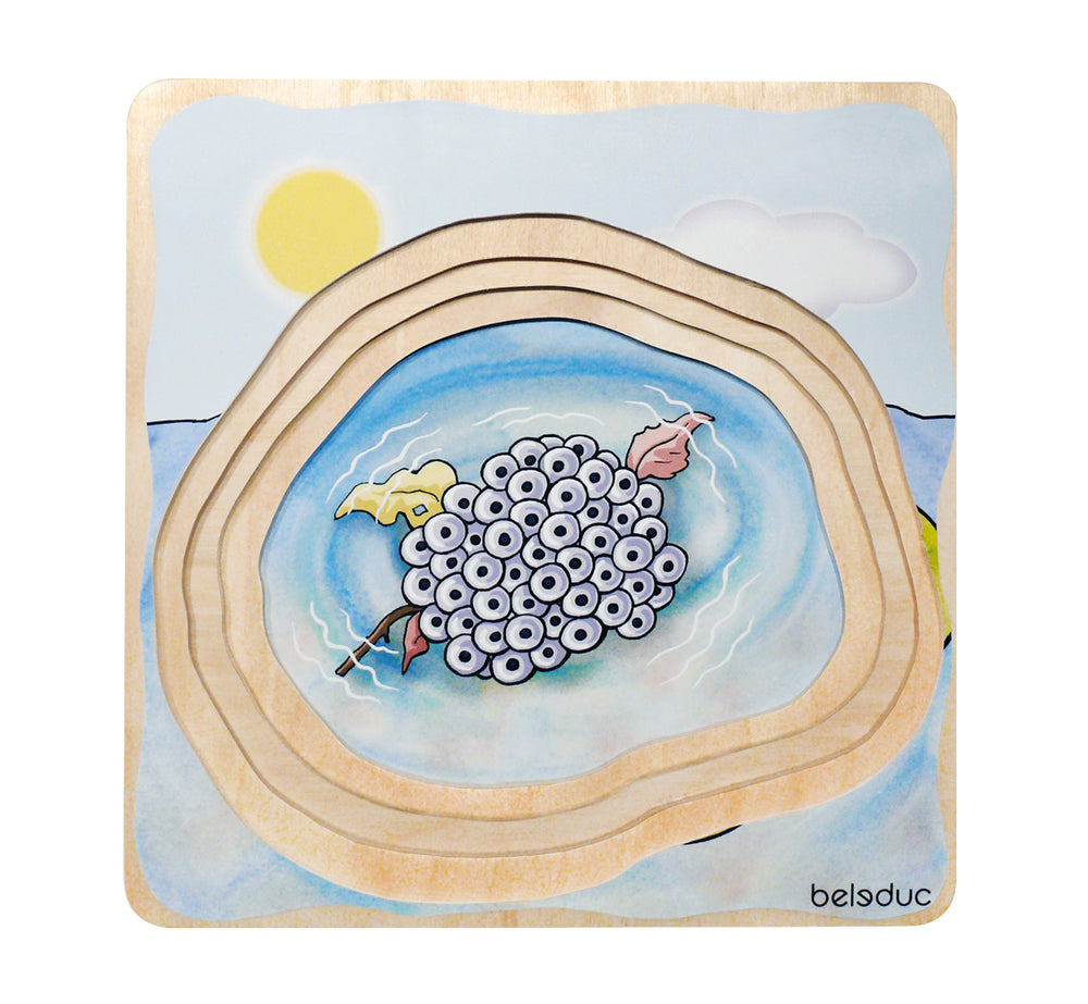 Multi-Layer Nesting Wood Puzzle: Egg to Frog 5-Layer (ONLINE ORDER ONLY)