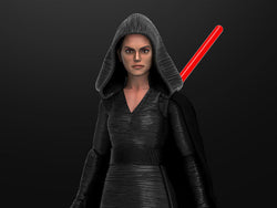 Star Wars: The Black Series - Rey: Dark Side Vision (Rise of Skywalker) 6-Inch Action Figure (ONLINE ORDER ONLY)