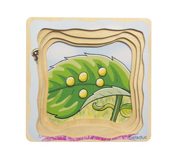Multi-Layer Nesting Wood Puzzle: Egg to Butterfly 5 Layer (ONLINE ORDER ONLY)
