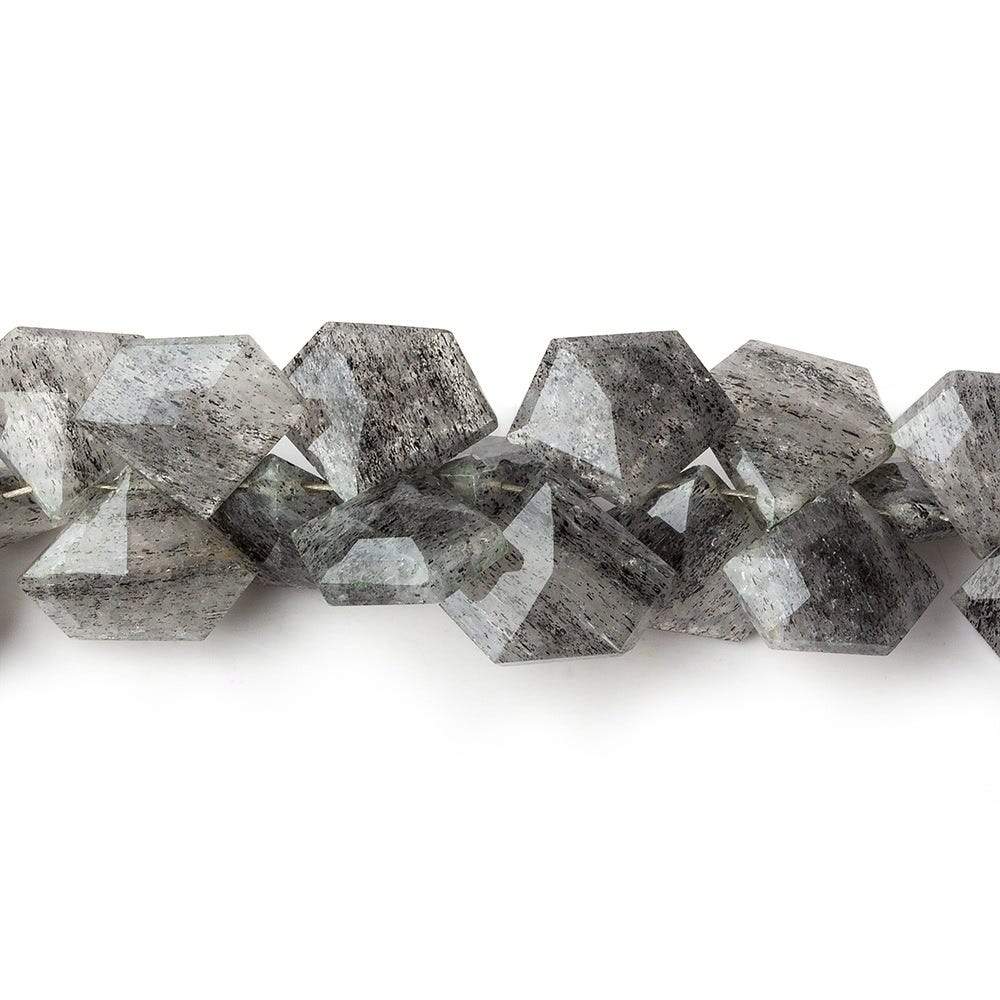 8x10-11x13mm Black Moss Quartz Faceted Pentagonals 8 inch 53 beads (ONLINE ORDER ONLY)