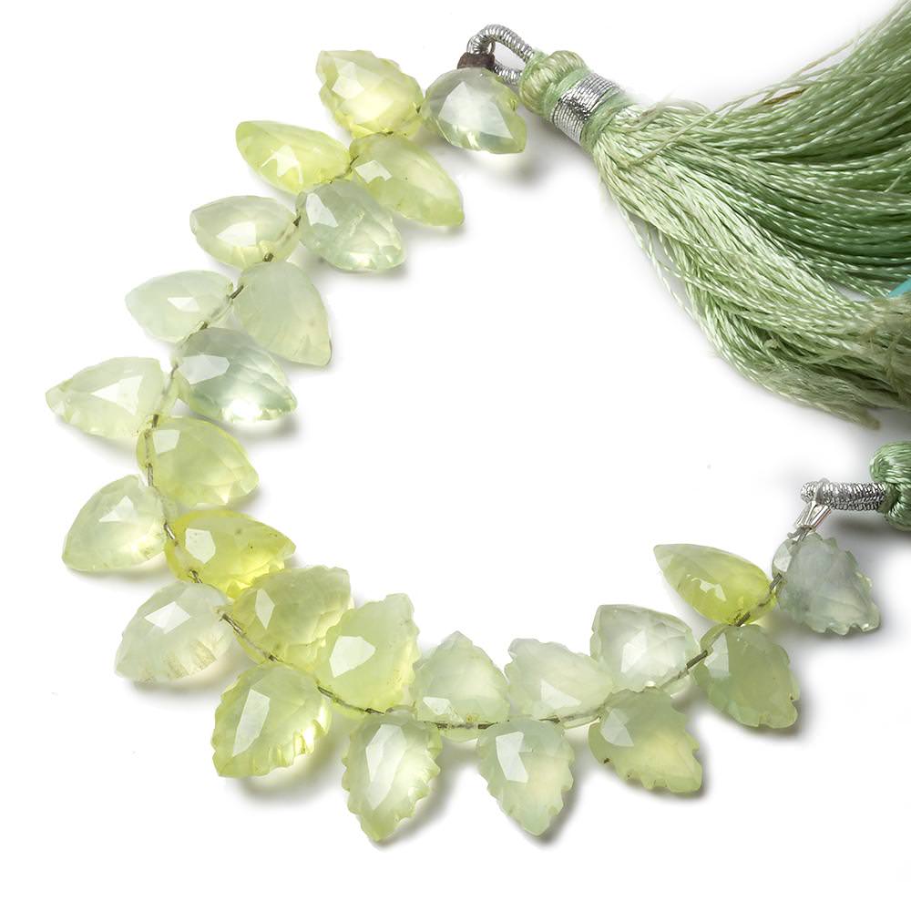 8x5-10x6mm Prehnite Scalloped Pear Beads 4 inch 26 pieces (ONLINE ORDER ONLY)