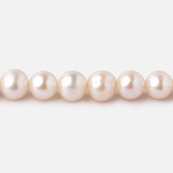 8x7mm Cream Off Round Freshwater Pearls 16 inch 54 pieces (ONLINE ORDER ONLY)