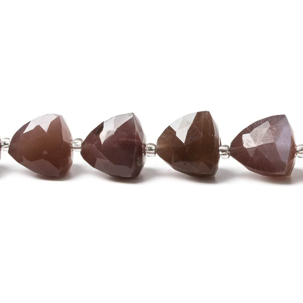 10mm Chocolate Moonstone faceted trillion beads 8 inch 18 pieces (ONLINE ORDER ONLY)