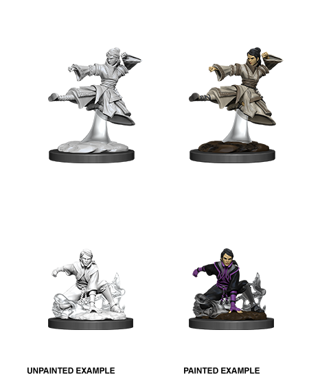 D&D: Nolzur's Marvelous Miniatures - Female Human Monk (ONLINE ORDER ONLY)