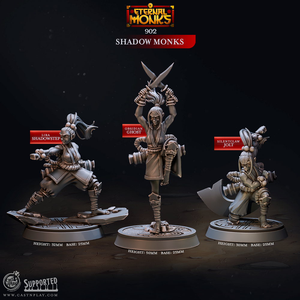 3D Printed Cast n Play Shadow Monks Eternal Monks Set 28mm 32mm D&D (Online Only)