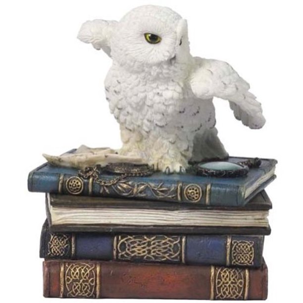 Snow Owl on Books Trinket Box (ONLINE ORDER ONLY)