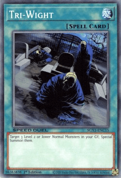 Tri-Wight [SGX1-ENC15] Common (ONLINE ORDER ONLY)