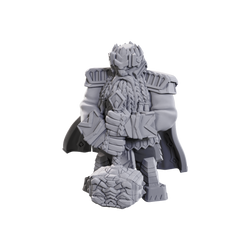 Pathfinder: Deep Cuts - Male Dwarf Champion High-Level (ONLINE ORDER ONLY)
