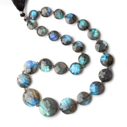 12-20mm Labradorite Faceted Coin Beads 16 inch 23 pieces AA (ONLINE ORDER ONLY)