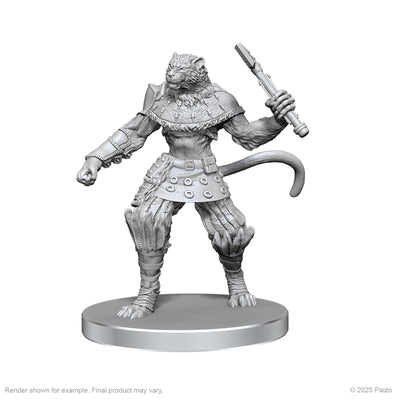 Pathfinder: Deep Cuts - Elf Hunter & Catfolk Bandit (ONLINE ORDER ONLY)