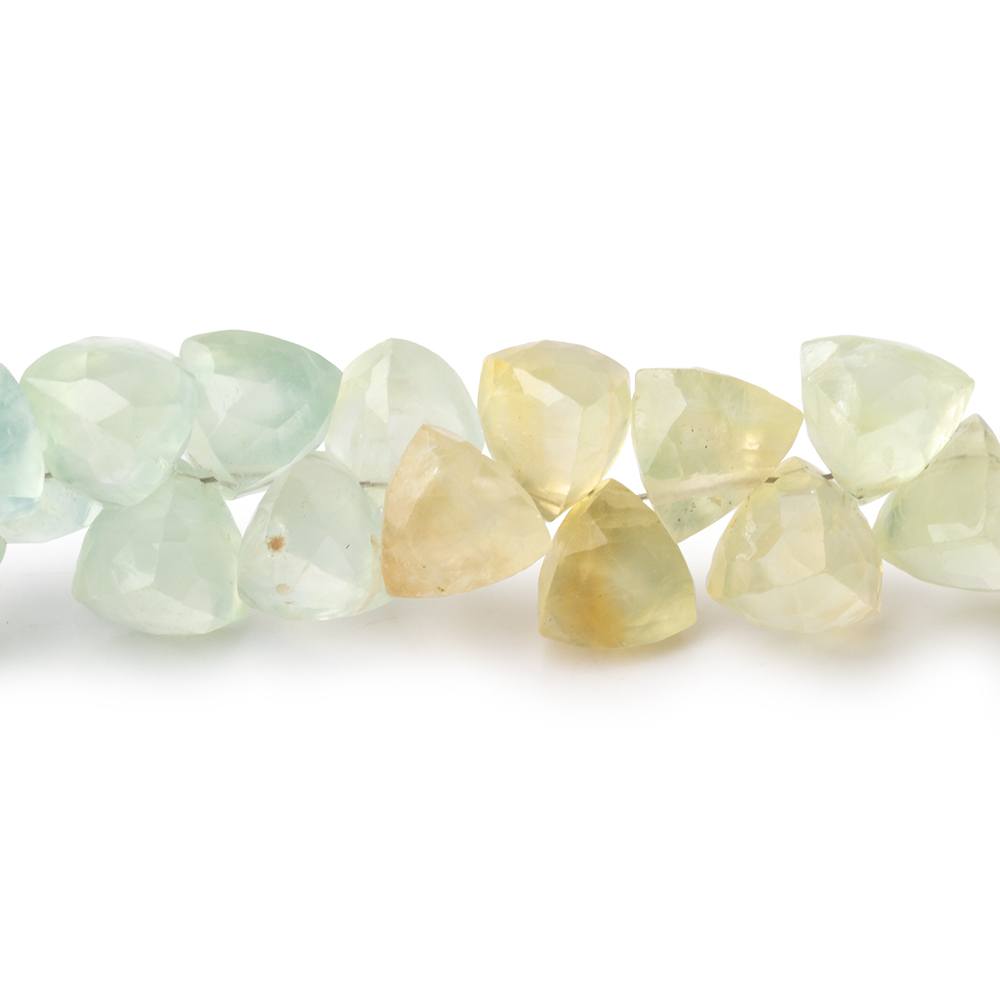9mm Prehnite Beads Top Drill Trillion Beads 8 inch 50 pieces (ONLINE ORDER ONLY)