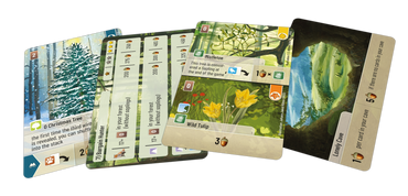 Forest Shuffle: Exploration (ONLINE ORDER ONLY)