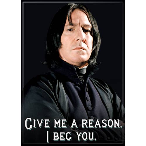Harry Potter: Snape I Beg You Magnet (ONLINE ORDER ONLY)