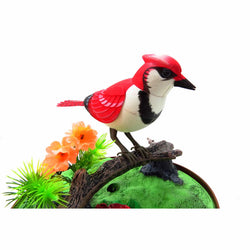 AZIBC507E Animated Chirping Bird in Bird Cage (ONLINE ORDER ONLY)