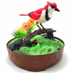 AZIBC507E Animated Chirping Bird in Bird Cage (ONLINE ORDER ONLY)