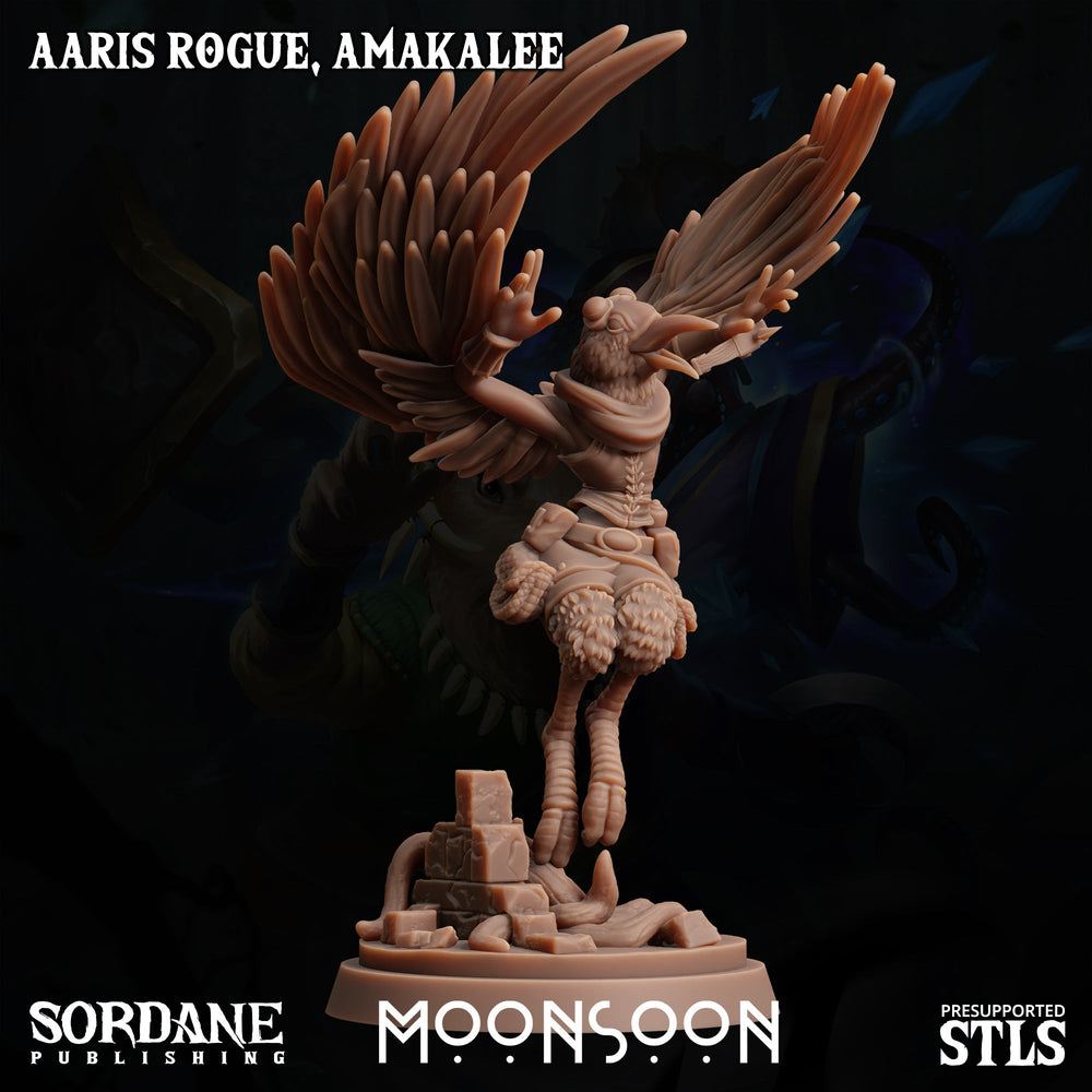 3D Printed Sordane Publishing Aaris Rogue Amakalee Moonsoon 28 32mm D&D (Online Only)