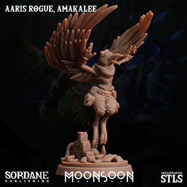 3D Printed Sordane Publishing Aaris Rogue Amakalee Moonsoon 28 32mm D&D (Online Only)