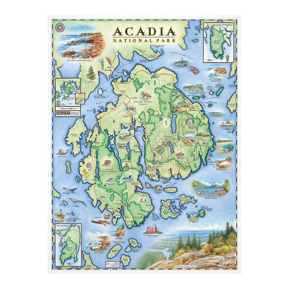 Acadia National Park 1000 Piece Jigsaw Puzzle Xplorer Maps (ONLINE ORDER ONLY)