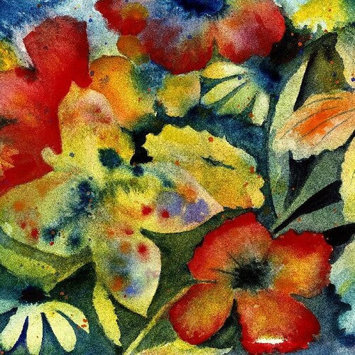 Songs And Instrumentals (2 Lp's) [Vinyl] (ONLINE ORDER ONLY)