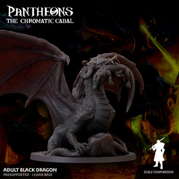 3D Printed Sordane Publishing Adult Black Dragon Pantheons The Chromatic Cabal 28 32mm D&D (Online Only)