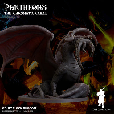 3D Printed Sordane Publishing Adult Black Dragon Pantheons The Chromatic Cabal 28 32mm D&D (Online Only)