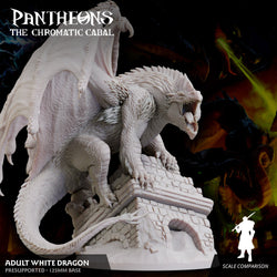 3D Printed Sordane Publishing Adult White Dragon Pantheons The Chromatic Cabal 28 32mm D&D (Online Only)