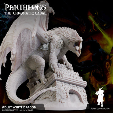 3D Printed Sordane Publishing Adult White Dragon Pantheons The Chromatic Cabal 28 32mm D&D (Online Only)