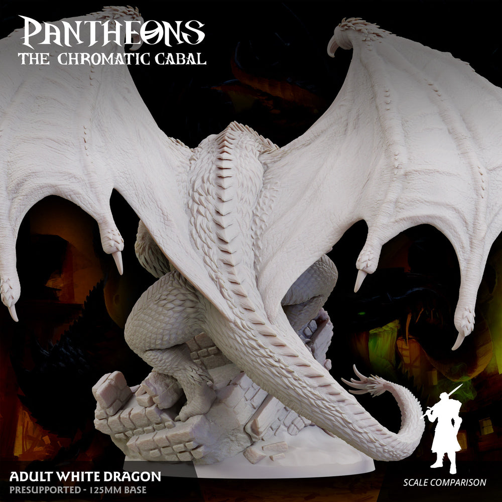 3D Printed Sordane Publishing Adult White Dragon Pantheons The Chromatic Cabal 28 32mm D&D (Online Only)