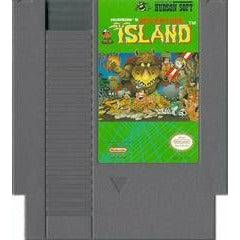 Adventure Island - NES (LOOSE) (Online Order Only)