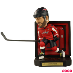 Framed Jersey Bobbleheads (ONLINE ORDER ONLY)