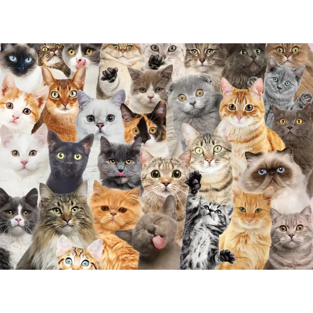 All the Cats 500 Piece Jigsaw Puzzle Peter Pauper