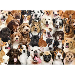 All the Dogs 500 Piece Jigsaw Puzzle Peter Pauper