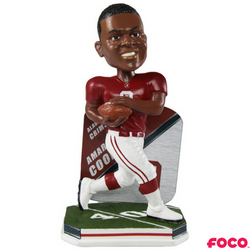 NCAA College Football Super Star Bobbleheads (ONLINE ORDER ONLY)