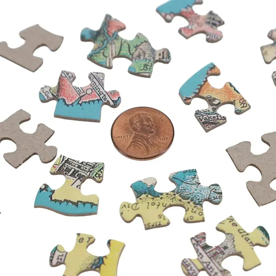 America the Wonderland 1000 Piece Shaped Jigsaw Puzzle TDC