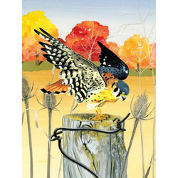 American Kestrel 1000 Piece Jigsaw Puzzle NYPC (ONLINE ORDER ONLY)
