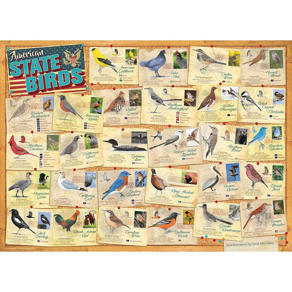 American State Birds 1000 Piece Jigsaw Puzzle Eurographics (ONLINE ORDER ONLY)