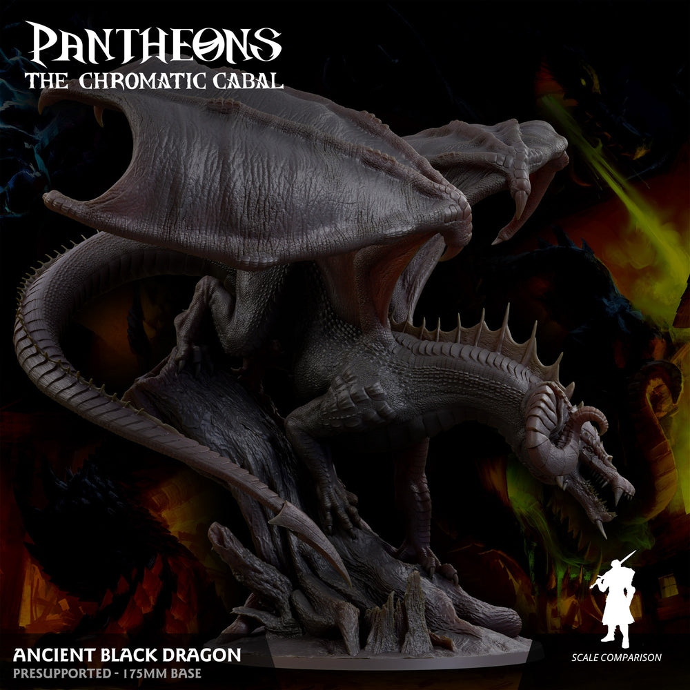3D Printed Sordane Publishing Ancient Black Dragon Pantheons The Chromatic Cabal 28 32mm D&D (Online Only)