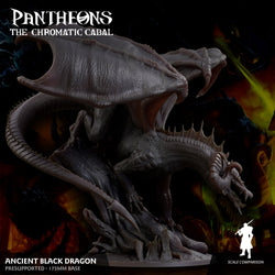 3D Printed Sordane Publishing Ancient Black Dragon Pantheons The Chromatic Cabal 28 32mm D&D (Online Only)