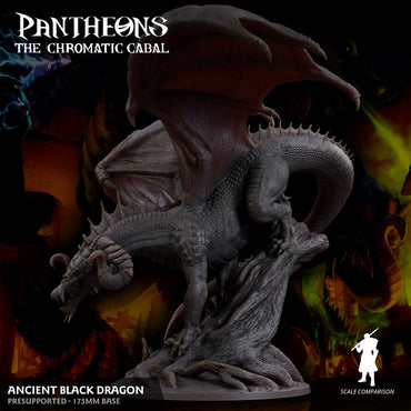 3D Printed Sordane Publishing Ancient Black Dragon Pantheons The Chromatic Cabal 28 32mm D&D (Online Only)