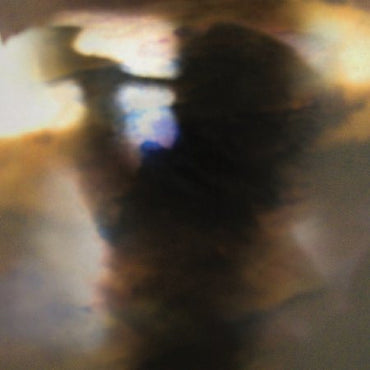 FALL BE KIND [Vinyl] (ONLINE ORDER ONLY)